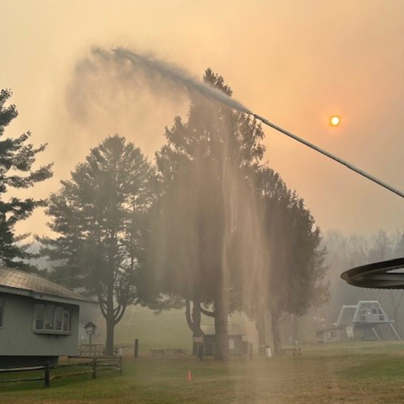 trees being sprayed with water