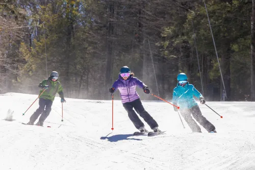 Skiers 3 on fidler