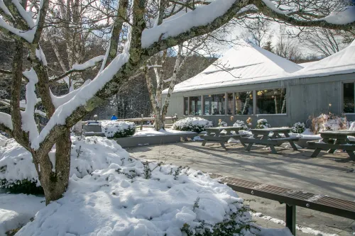Upper lodge patio snow